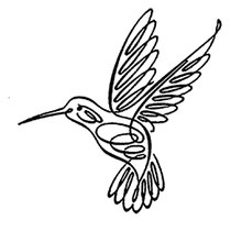 colibri