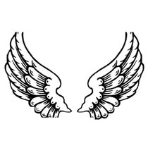 wings