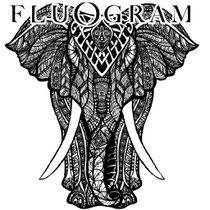 elephant fluogram