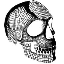 Skull head 3D 