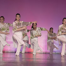 Photographie de sport spectacle de danse 