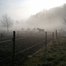 Herbst