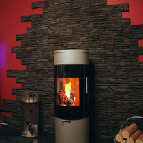 Kaminofen Attika Viva 120 Nickel in Niederfischbach