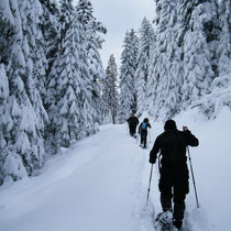 Schneeschuhtour mit sports-outdoorguide.de