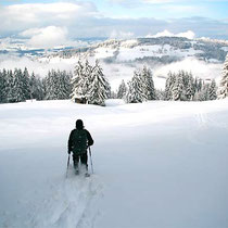Schneeschuhwanderung mit sports-outdoorguide.de