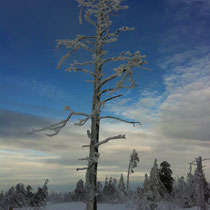 Schneeschuhtour mit sports-outdoorguide.de