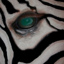 Occhi di zebra