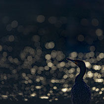 © Claudia Kruszka