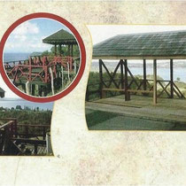 curacodevelez.jimdo.com