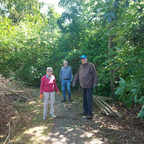 Im Park des Amtmann-Schroeter-Hauses wurde in einer gemeinsamen Aktion eine Benjes-Hecke angelegt