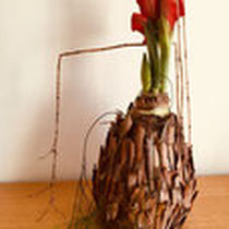 Kerst 05