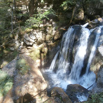 In den Tormäuern, Trefflingfall.