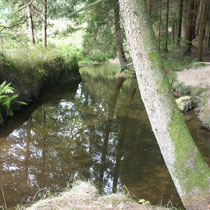 Lohnbach bei Petrobruck, 4. Okt 2015