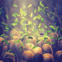 Reprogrammation Microbiote 