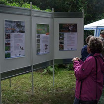 NABU-Stand Poster zum Vogel des Jahres 2013