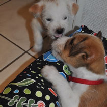 Ella und Emmi