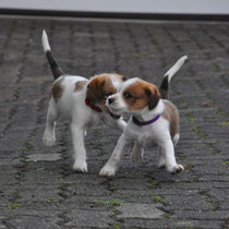 Emmi und Eva