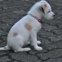 Ella