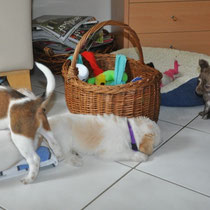 Wir haben besuch: Amy ist da!
