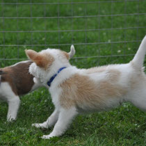 Eva und Edison