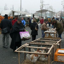 Frischwaren-, Haushalt-, Kleider-, Geflügel- und Tiermarkt in Louhans - jeden Montag morgen