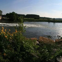 Naturreservat La Truchère-Ratenelle