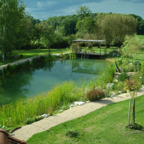 Der Bioschwimmteich von Maison Libellule