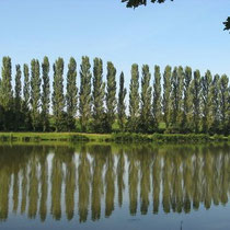 Etang du Mont du Chat in La Chapelle-Thècle