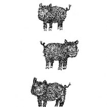 Ein Schwein kommt selten allein, 2016