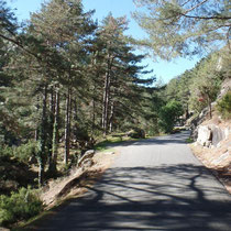 La route très étroite serpente dans les gorges, révélant drs paysages magnifiques.