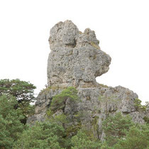 Steingarten in der Tarn France
