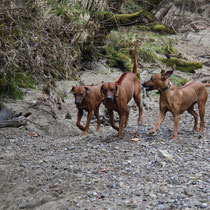 Rayha, Zina und Dhakyia