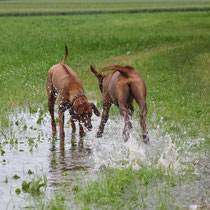 Chidima und Zina