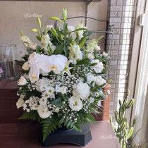 大サイズ（菊．洋花ミックス）　8,800円～