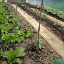 Le goutte à goutte