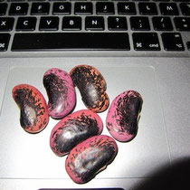 Runner beans sur le track pad de mon Mac Book