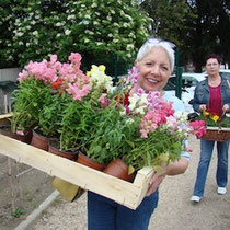 Yvette apporte les plants