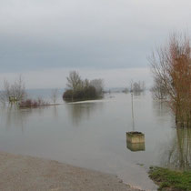 La Saône à la Plage de Glanon