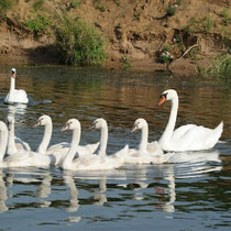 La famille au grand complet