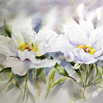 Peonies I 2023 (T1) 30x40cm / Watercolour by ©janinaB.