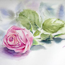 Rose III 2025 (2) / Watercolour by ©janinaB.
