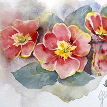Primulas I 2023 (O3) 20x30cm / Watercolour by ©janinaB.