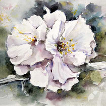 Flowers IV 2023 (9) / Watercolour by ©janinaB.