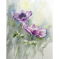 Anemones III 2023 (T2) 30x40cm / Watercolour by ©janinaB.