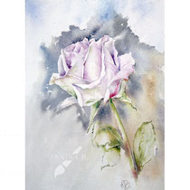 Rose IV 2023 (T1) 30x40cm / Watercolour by ©janinaB.