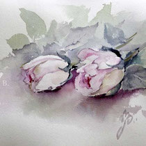 Roses IV 2023  (O3) 20x30cm / Watercolour by ©janinaB.