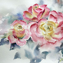 Roses VIII 2023 T1 30x40cm / Watercolour by ©janinaB.