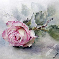 Rose I 2023 (O3) 20x30cm / Watercolour by ©janinaB.