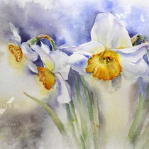 Daffodils III 2023 (T1) 30x40cm / Watercolour by ©janinaB.