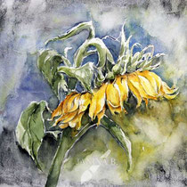 Sunflower I 2023 (2) 30x40cm / Watercolour by ©janinaB.